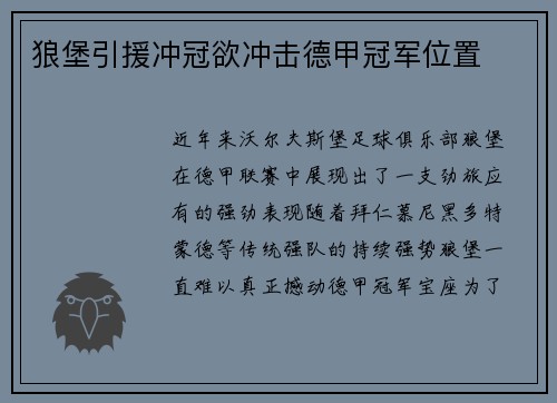 狼堡引援冲冠欲冲击德甲冠军位置